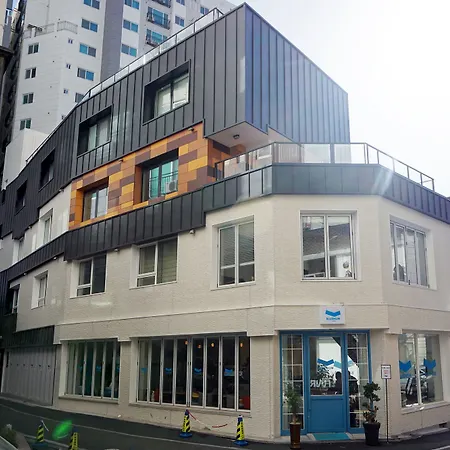 Bluehum Guesthouse - Hostel